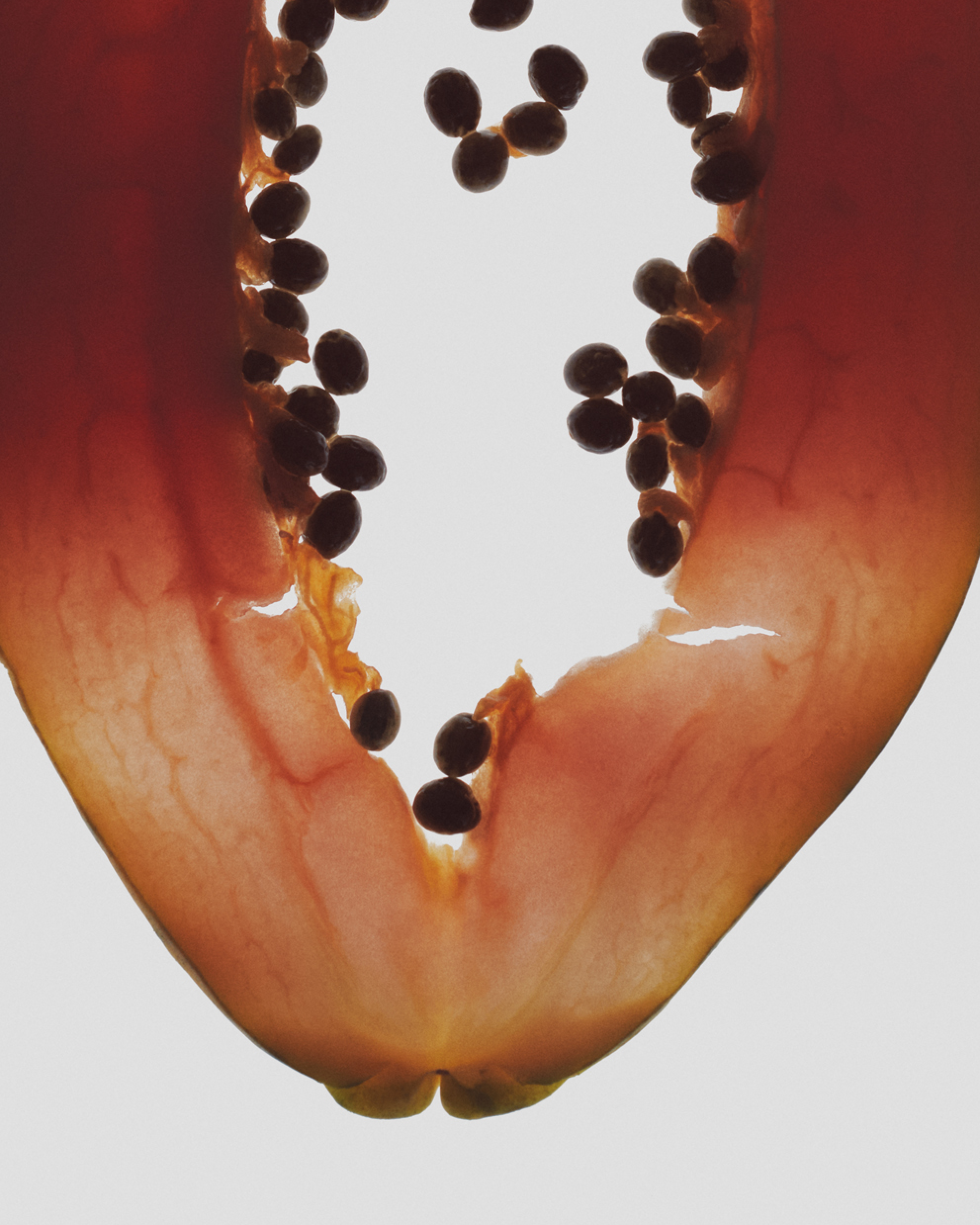 Limited Edition Eugenoides - Rare coffee variety with exceptional flavor profile